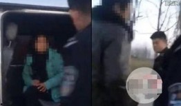 车震床震视频在线观看,在线观看的刺激体验揭秘